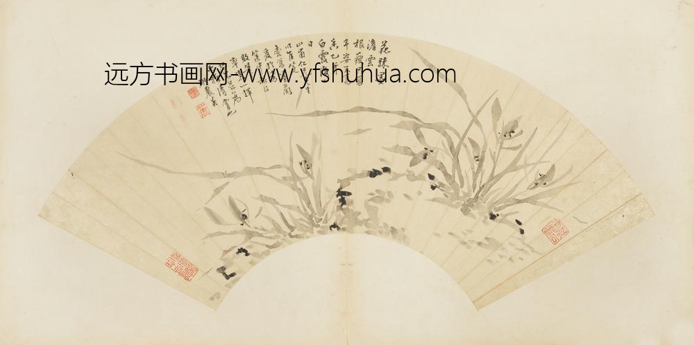 清-石之英兰石图扇面