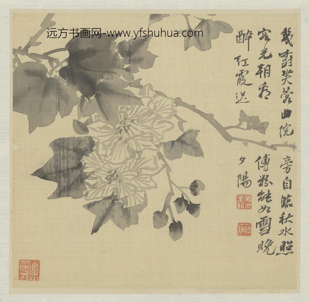 清-粟楷花卉册-