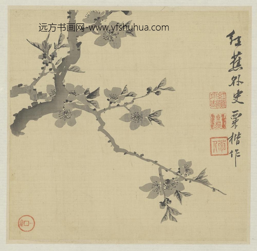 清-粟楷花卉册-