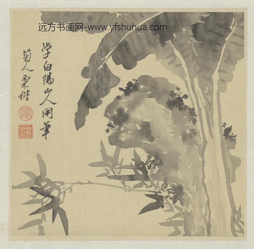 清-粟楷花卉册-
