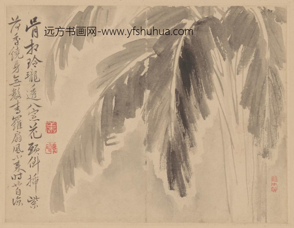清-范廷镇花卉册-