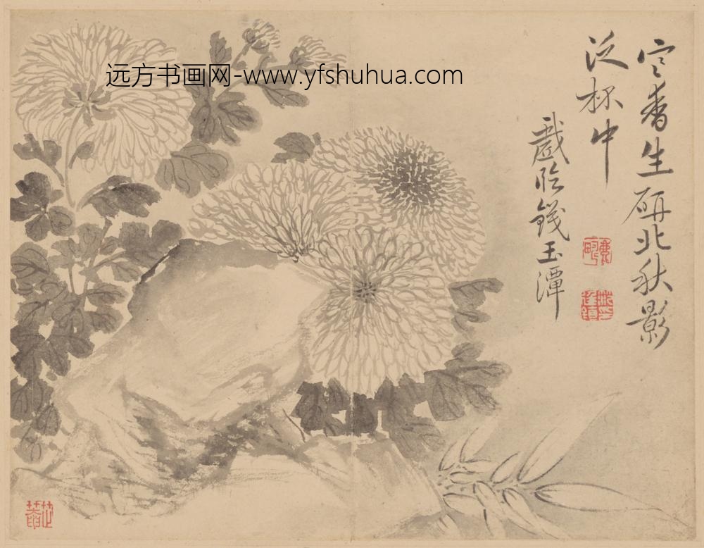 清-范廷镇花卉册-