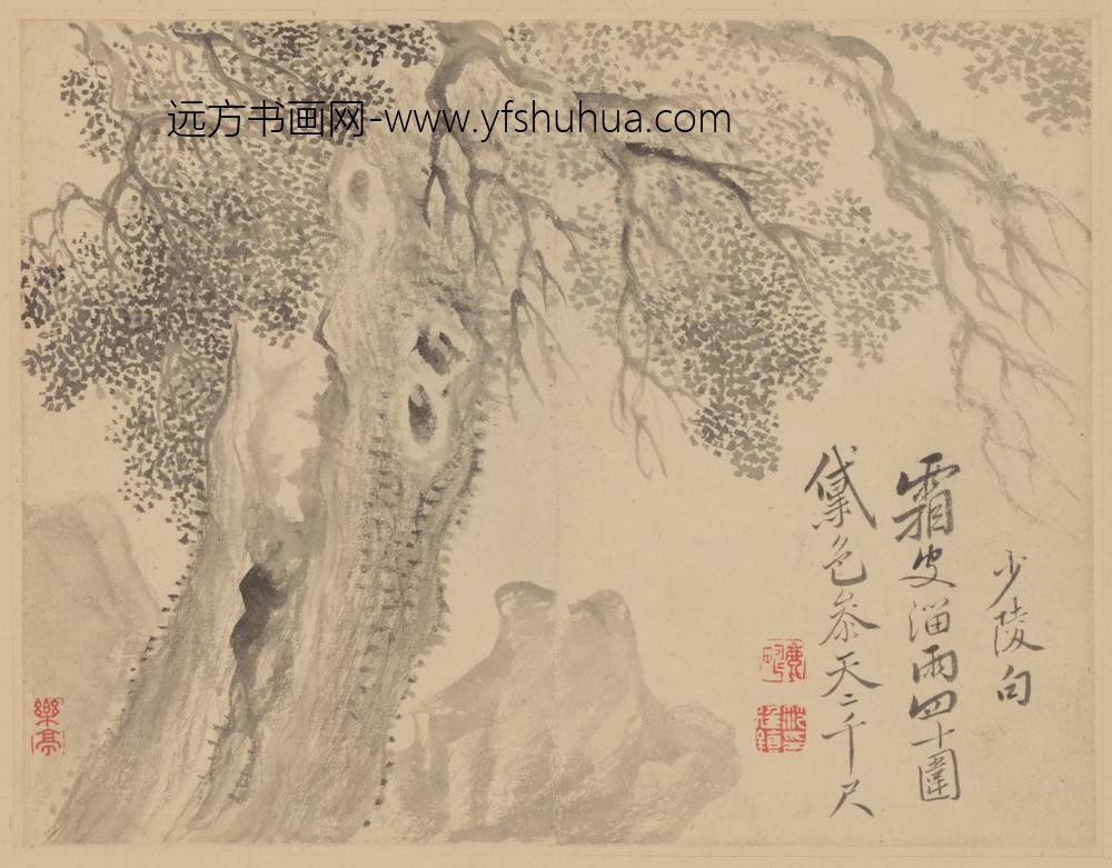 清-范廷镇花卉册-