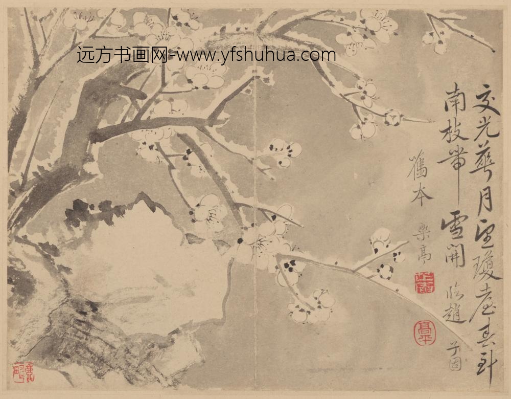 清-范廷镇花卉册-