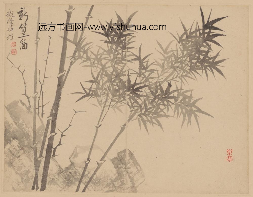 清-范廷镇花卉册-