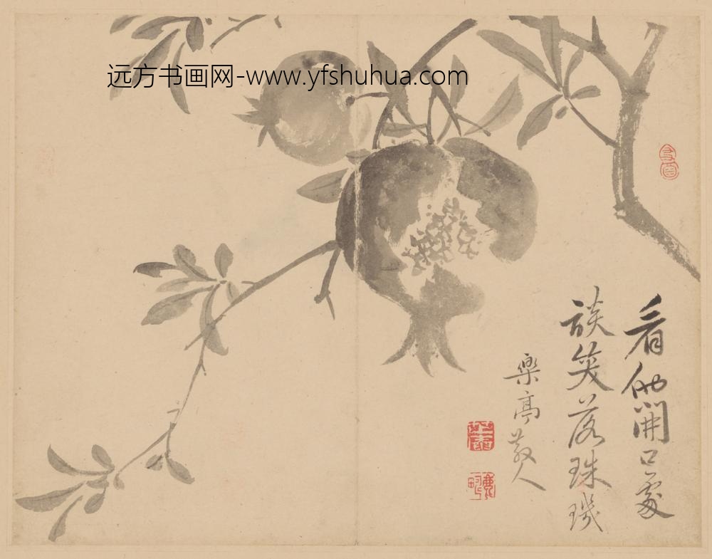 清-范廷镇花卉册-