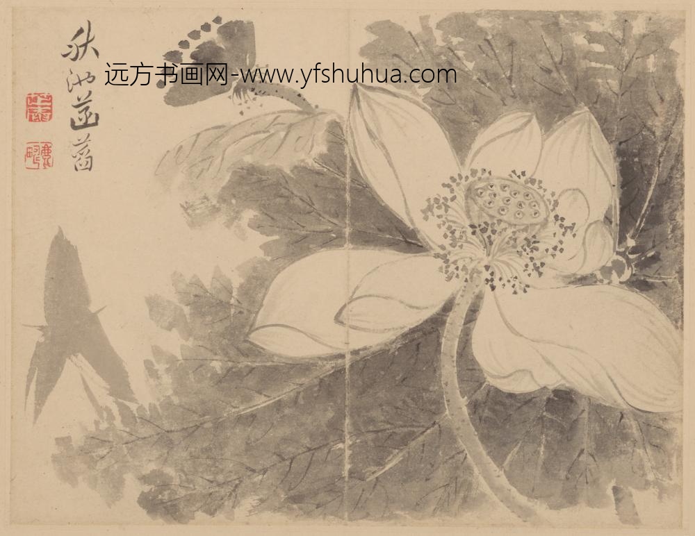 清-范廷镇花卉册-
