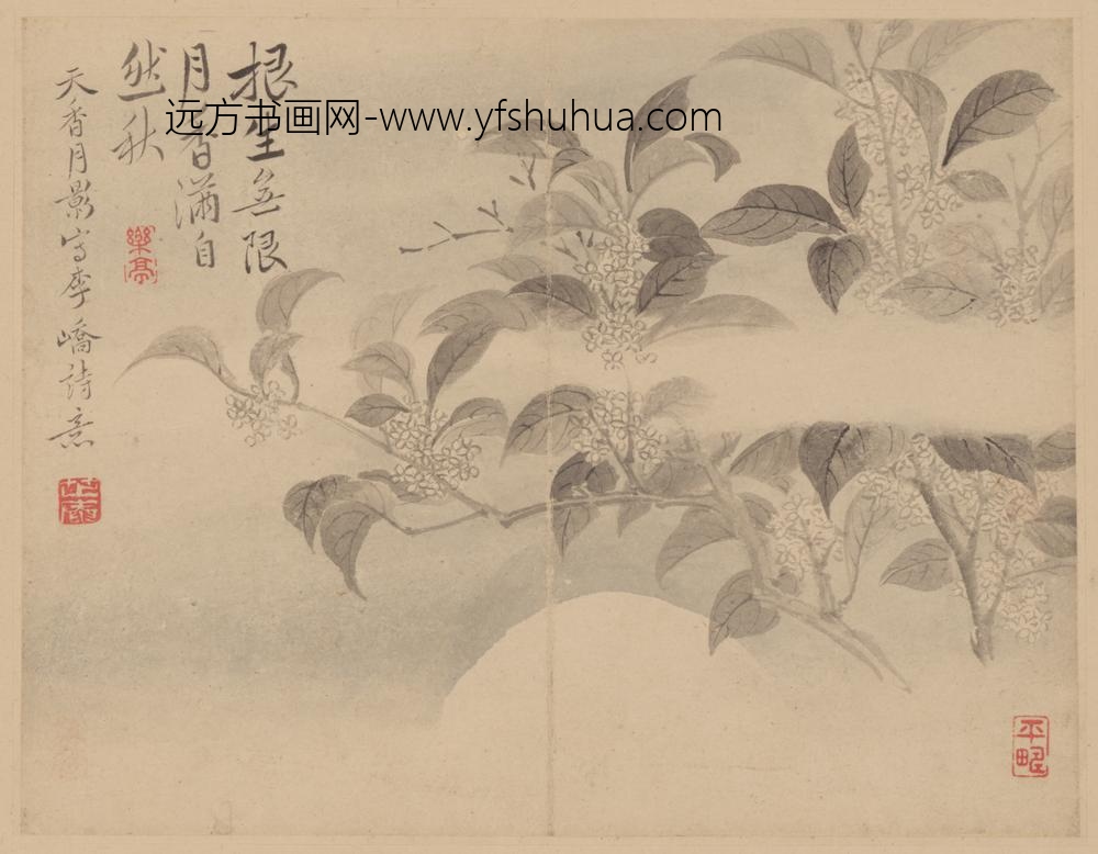 清-范廷镇花卉册-