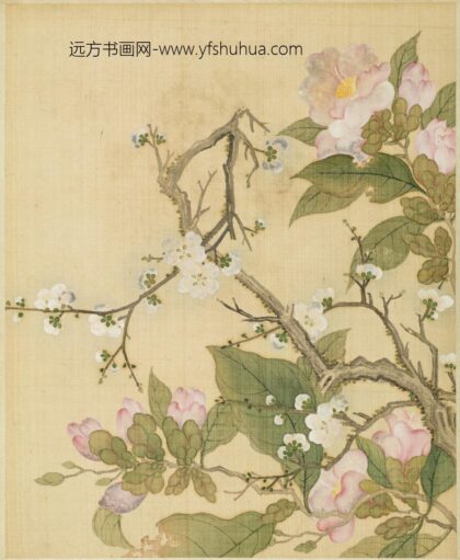 清 范廷镇花卉图册 1.jpg