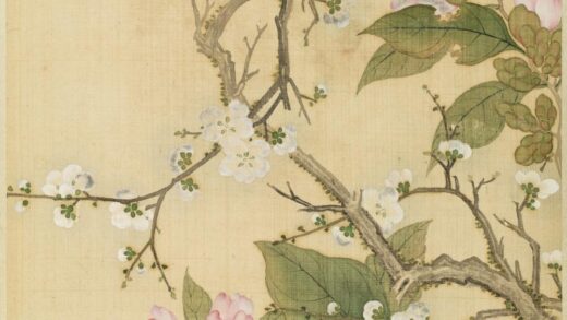 清 范廷镇花卉图册 1.jpg