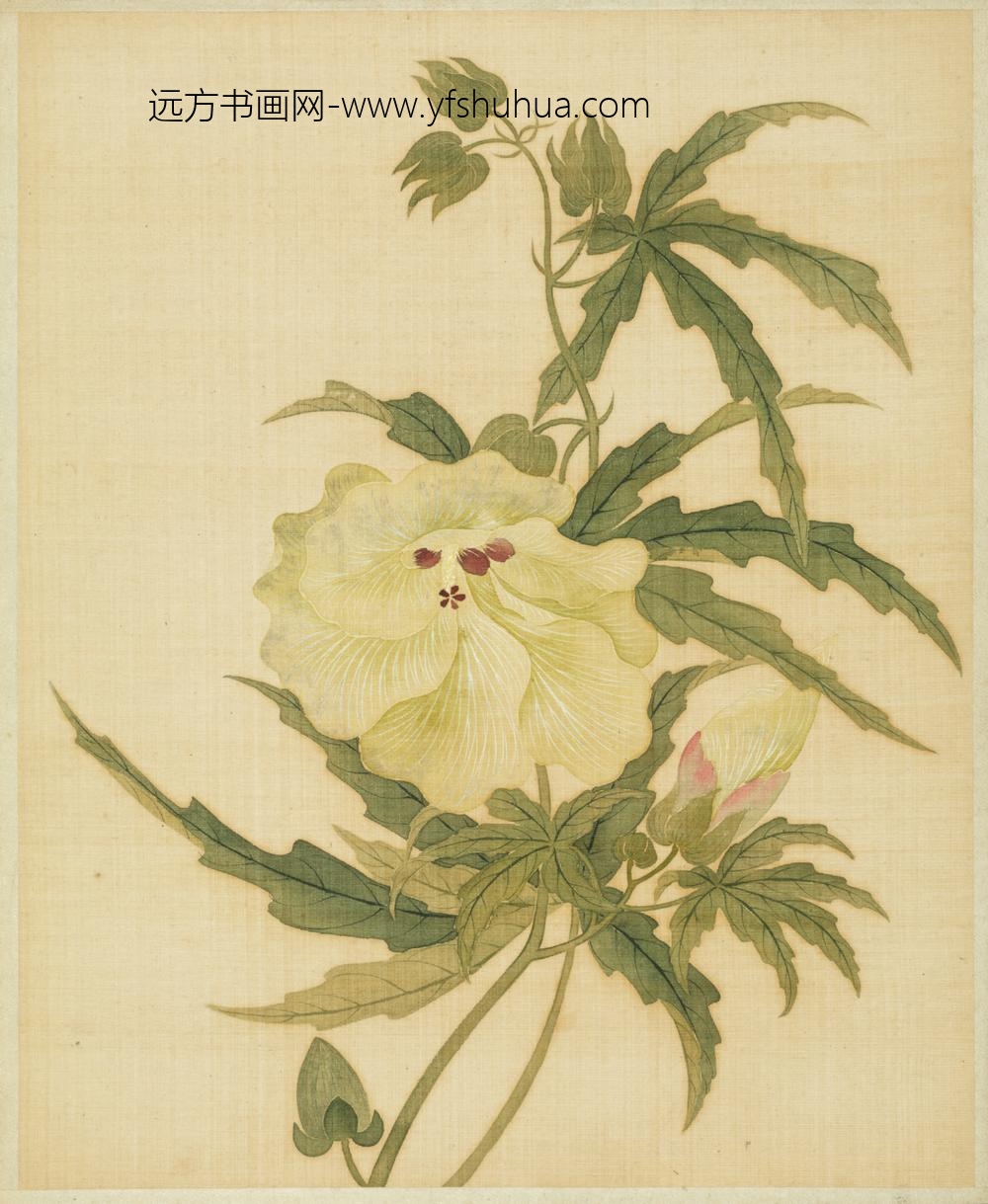 清-范廷镇花卉图册-