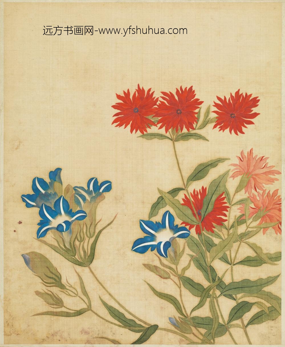 清-范廷镇花卉图册-
