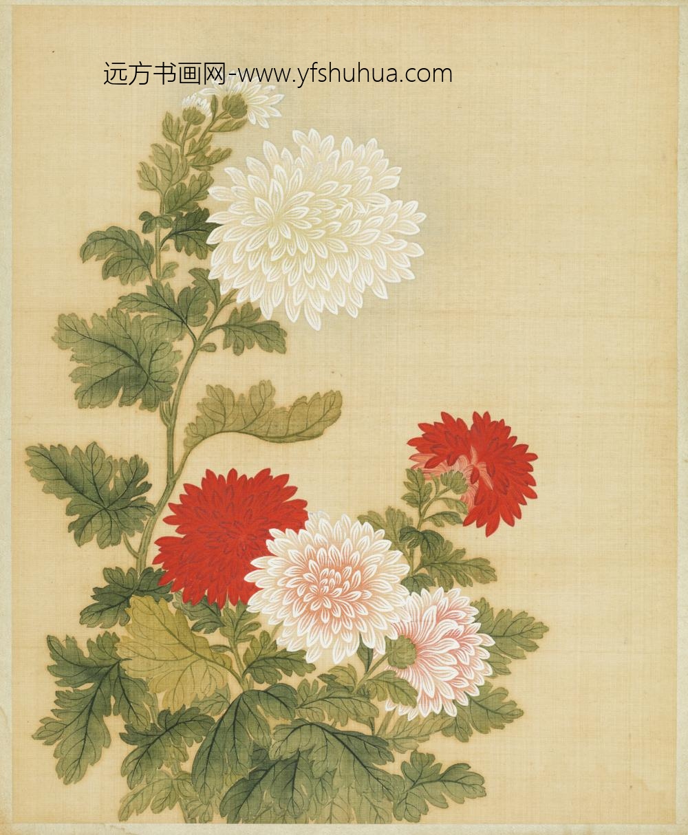 清-范廷镇花卉图册-