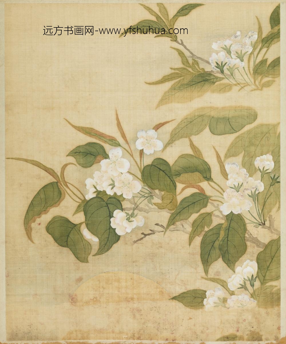 清-范廷镇花卉图册-