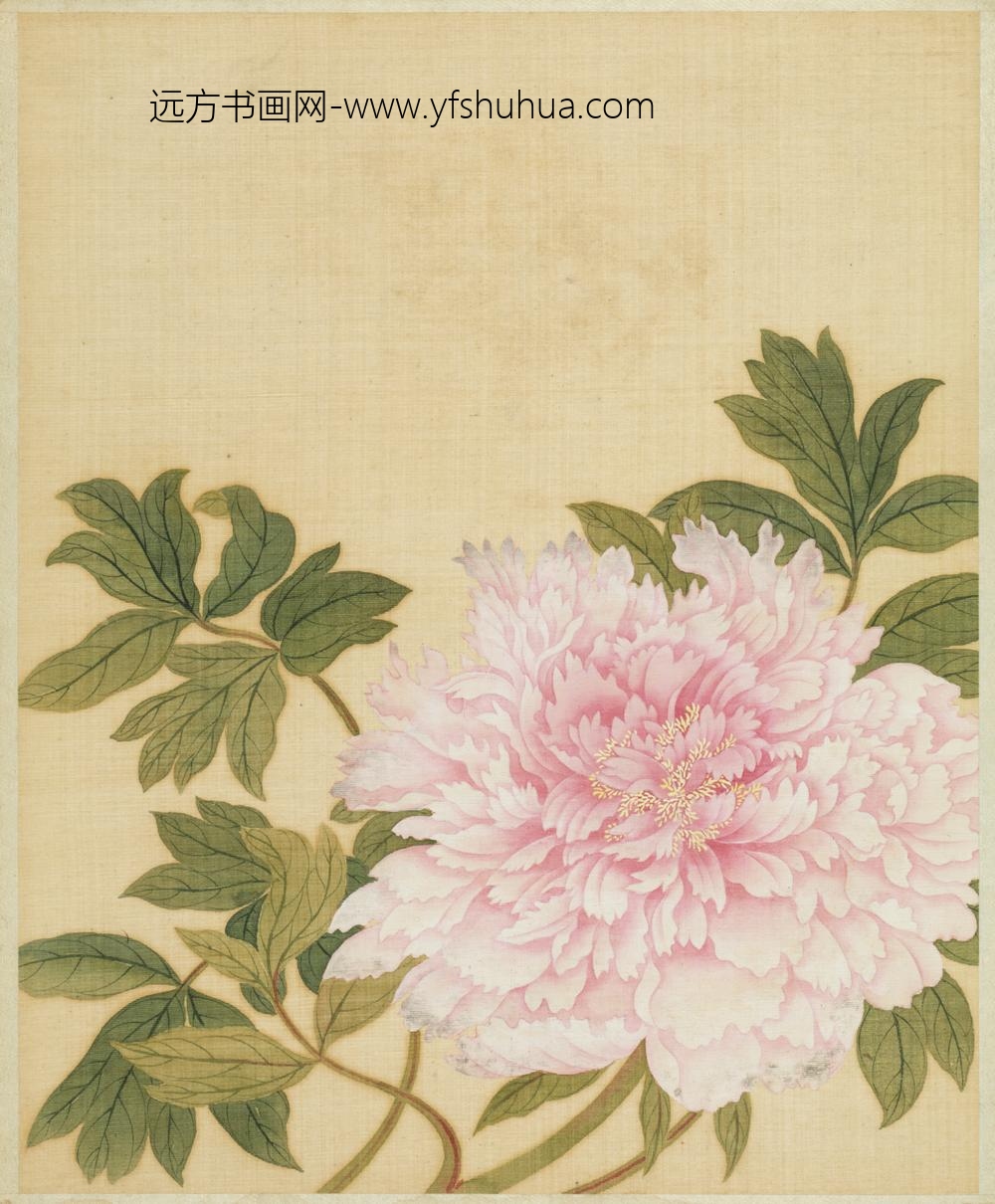 清-范廷镇花卉图册-
