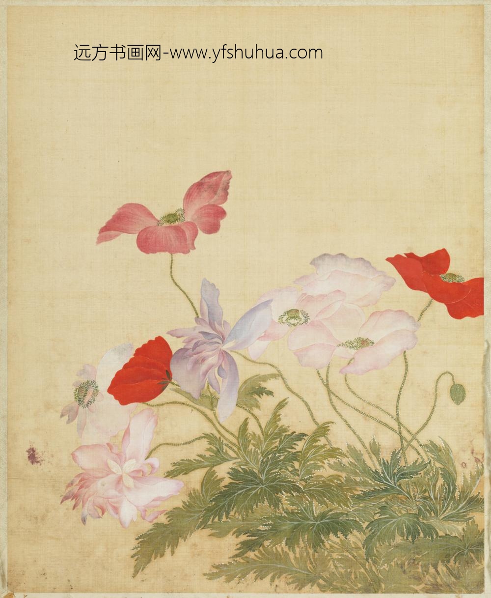 清-范廷镇花卉图册-