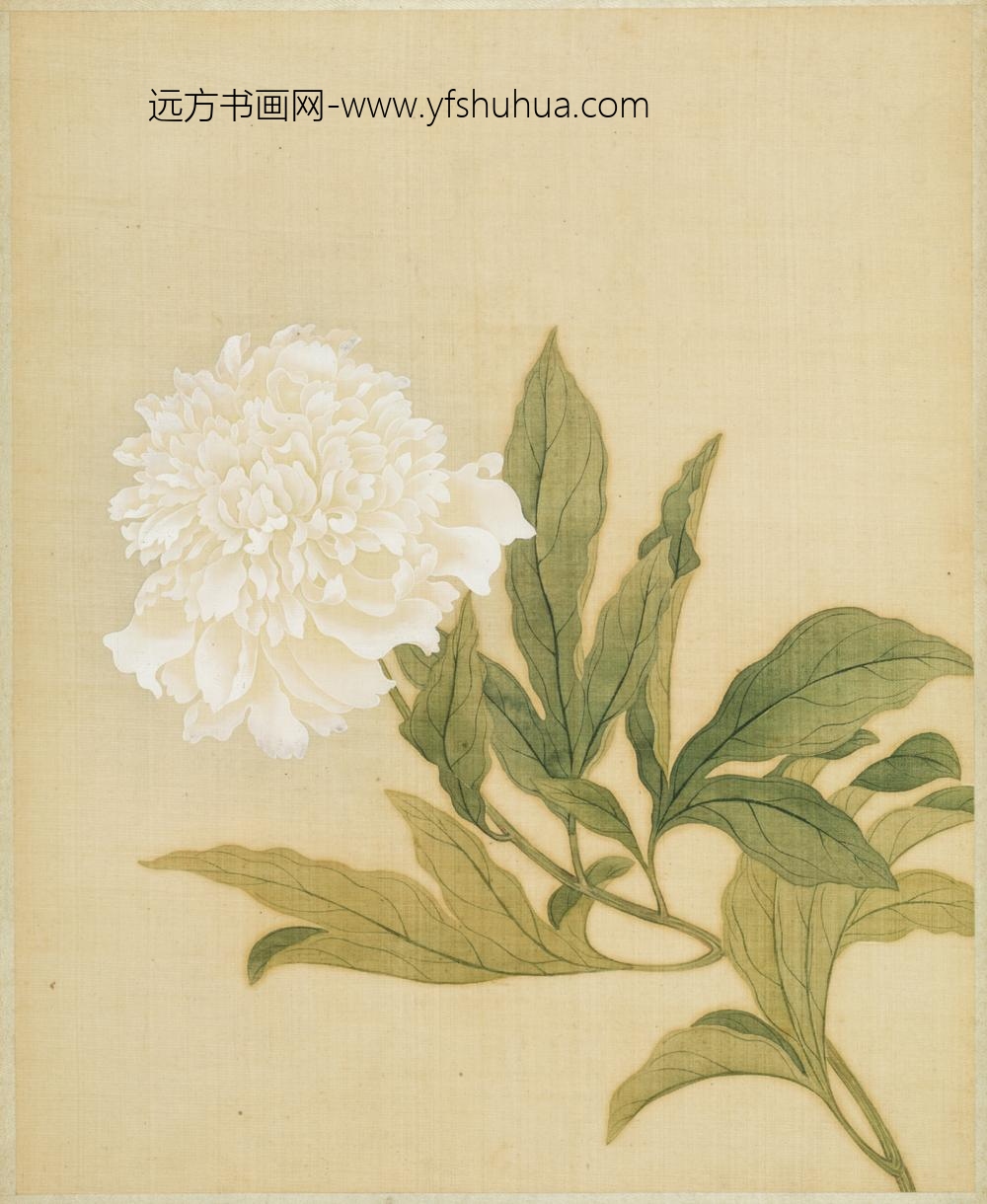 清-范廷镇花卉图册-
