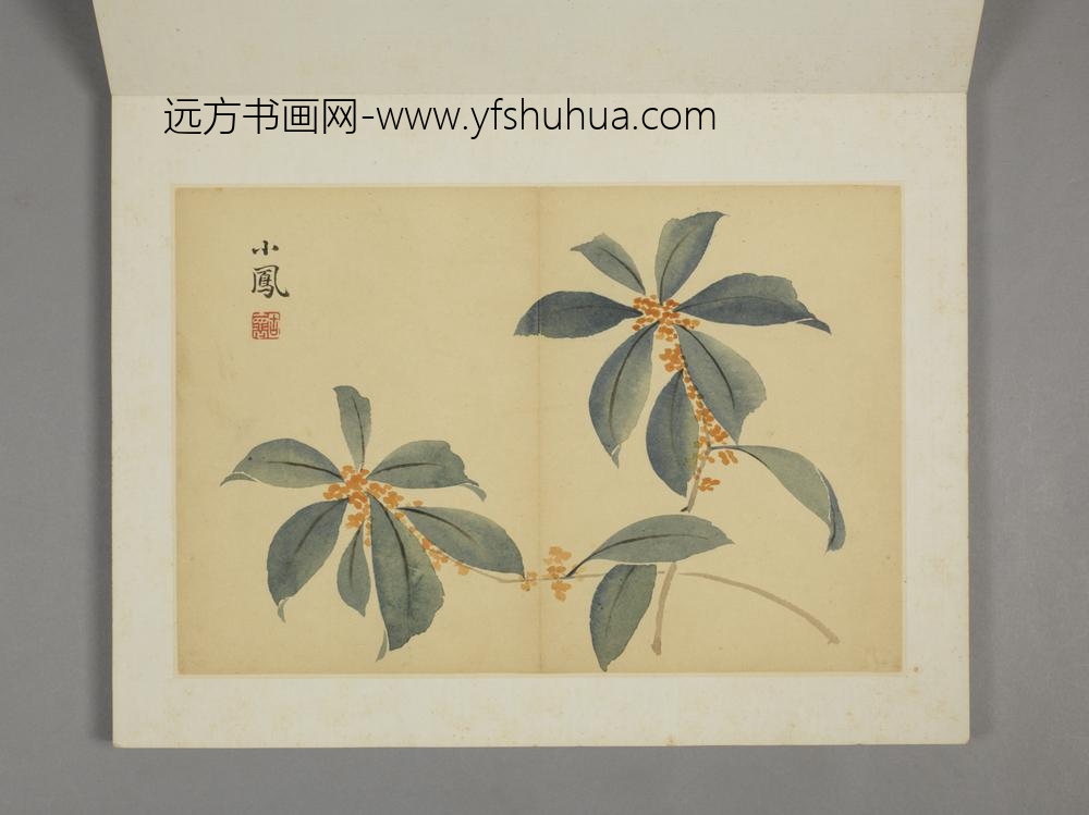 清-薛怀杂画册-