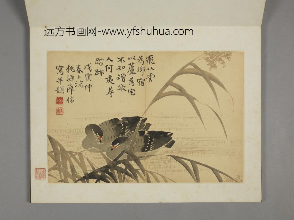 清-薛怀杂画册-