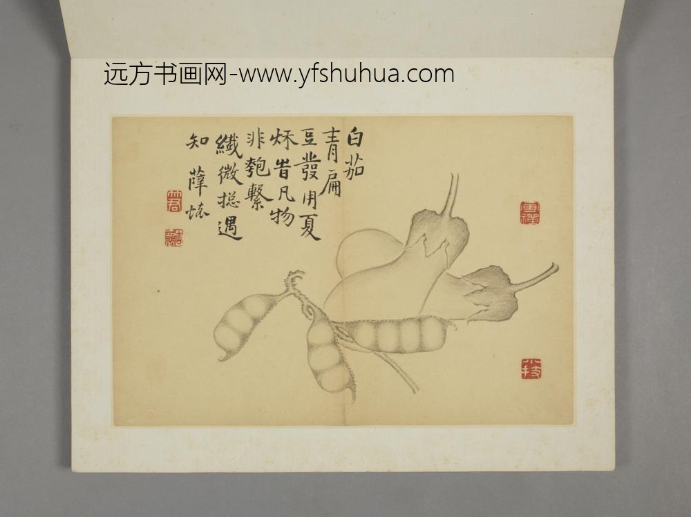清-薛怀杂画册-