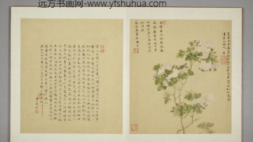 清 邹显吉花卉图册 1.jpg