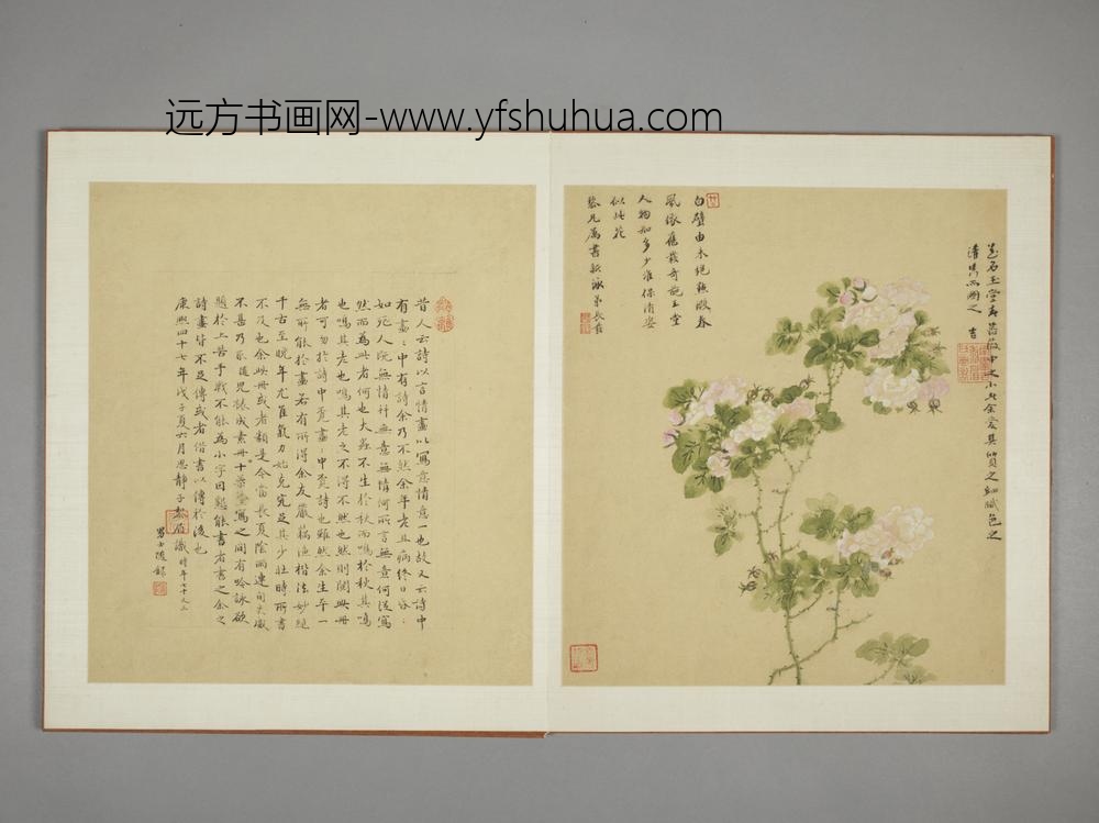 清-邹显吉花卉图册-