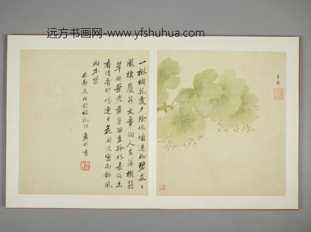 清-邹显吉花卉图册-