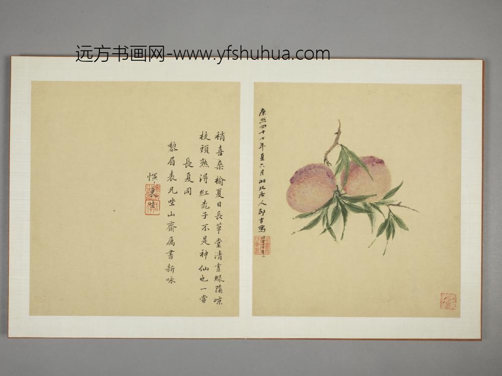 清-邹显吉花卉图册-