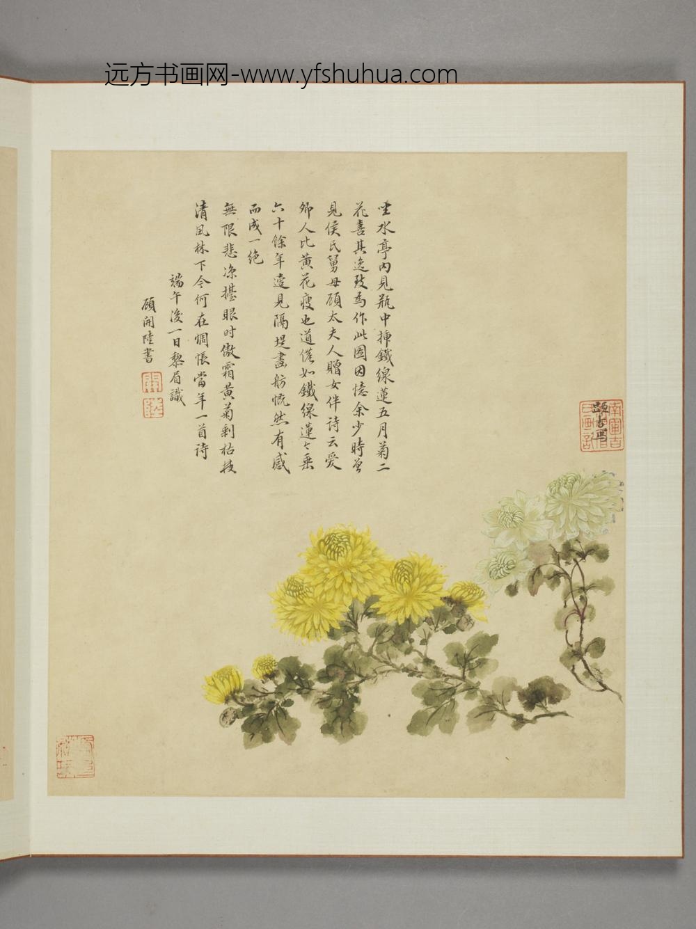 清-邹显吉花卉图册-