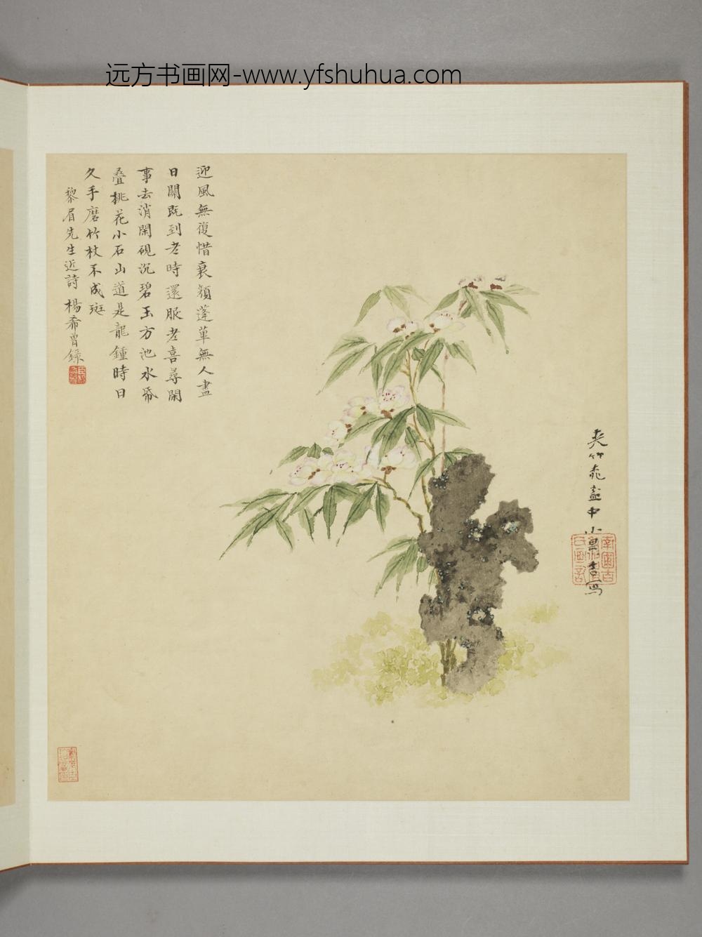 清-邹显吉花卉图册-