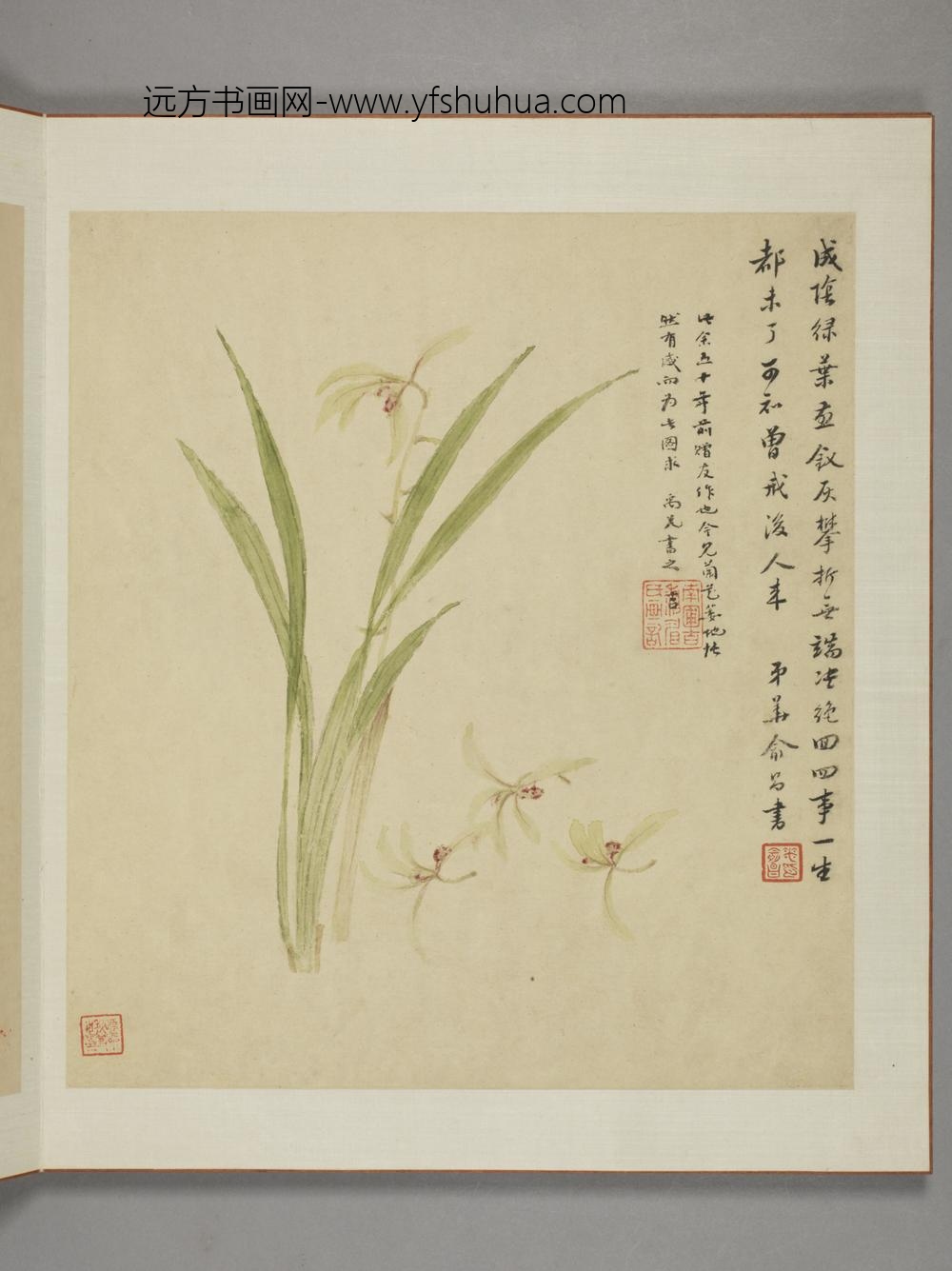 清-邹显吉花卉图册-