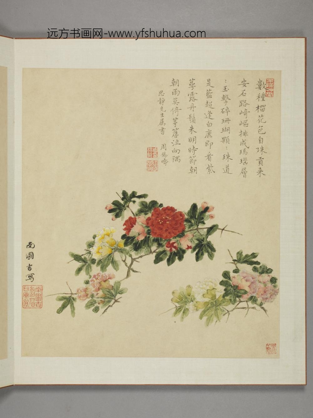 清-邹显吉花卉图册-