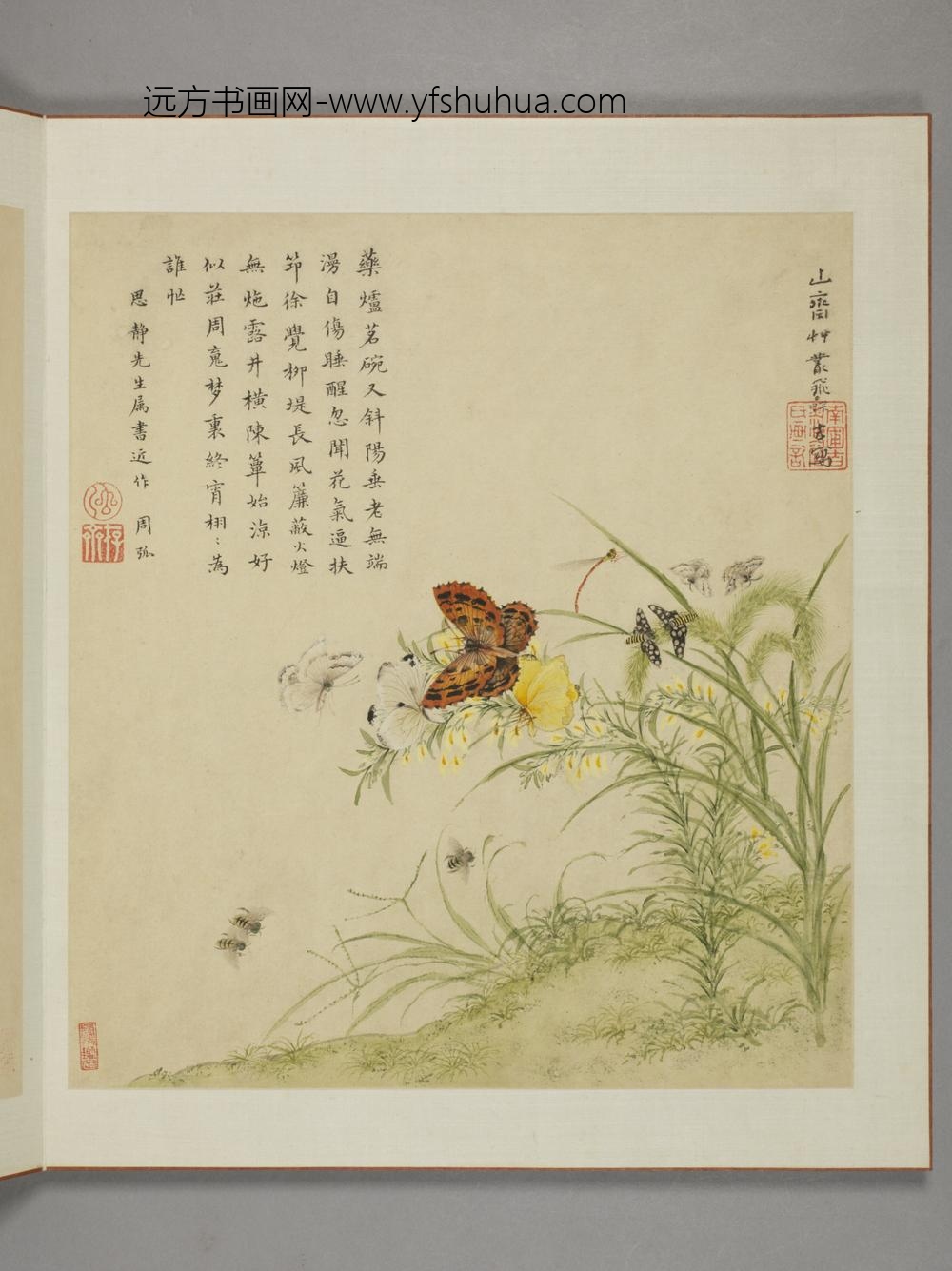 清-邹显吉花卉图册-