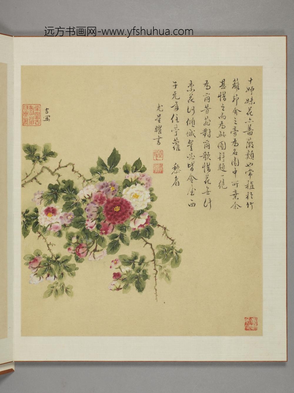 清-邹显吉花卉图册-
