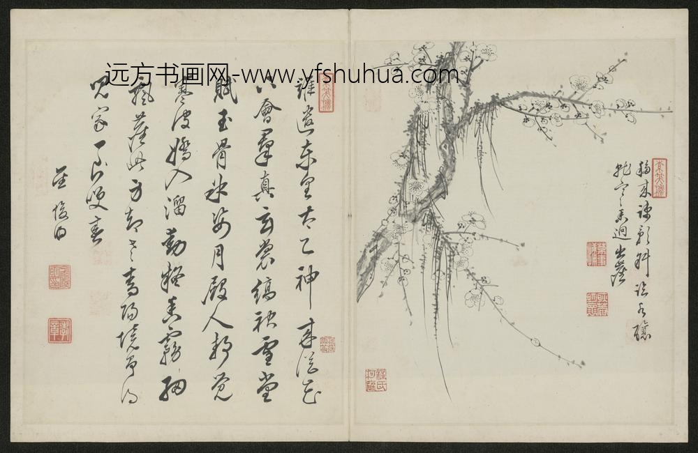 清-金俊明梅花图册-