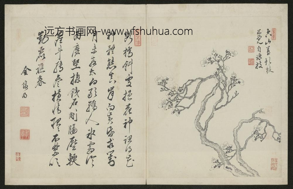 清-金俊明梅花图册-