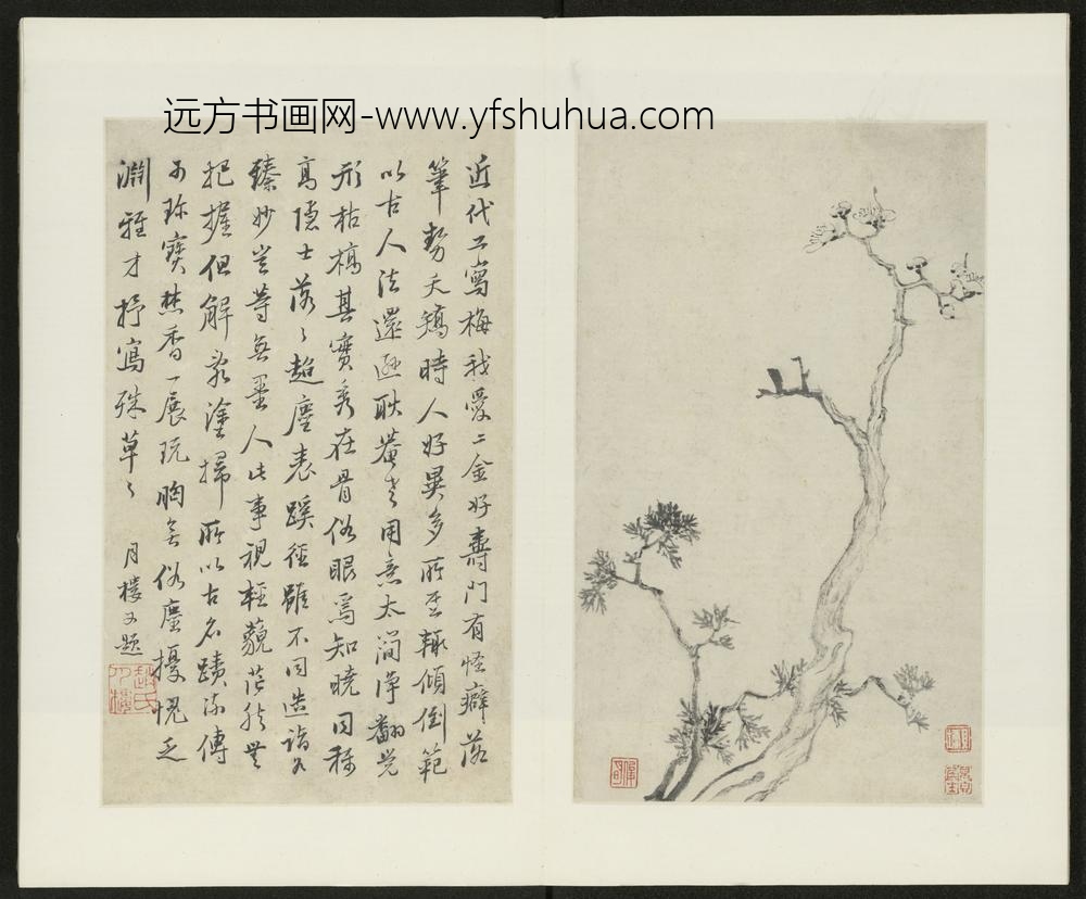 清-金俊明梅花图册-
