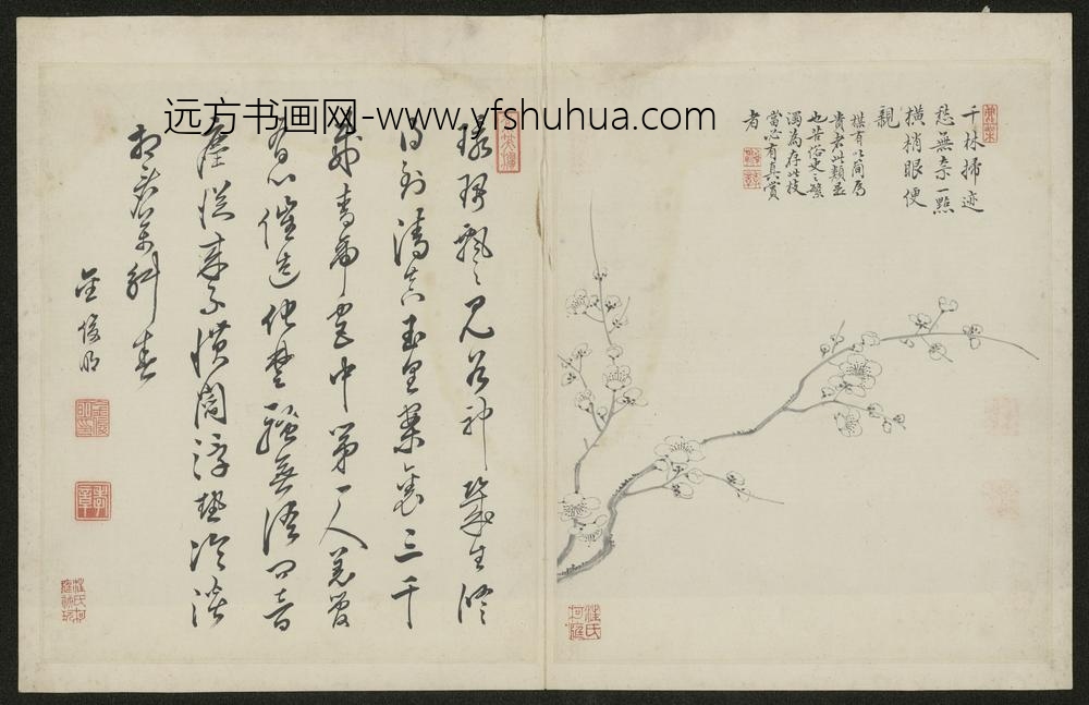 清-金俊明梅花图册-