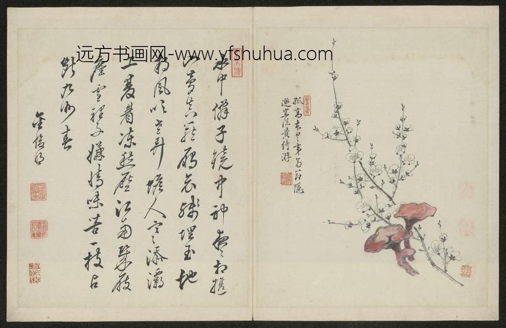 清-金俊明梅花图册-