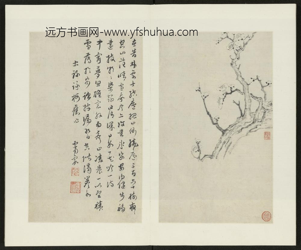 清-金俊明梅花图册-