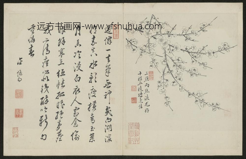 清-金俊明梅花图册-