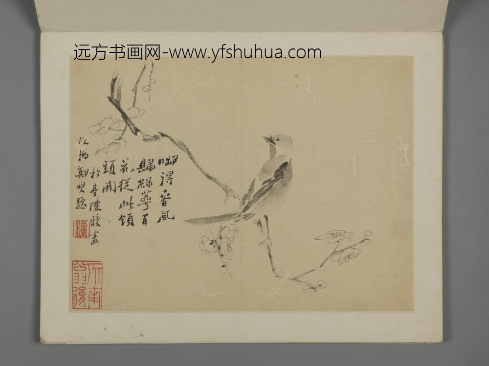 清-陈馥花卉册