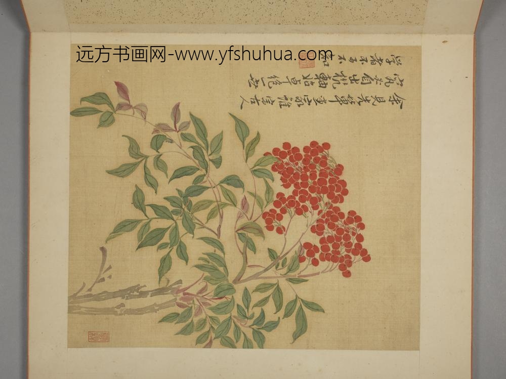 清-马元驭花卉册-