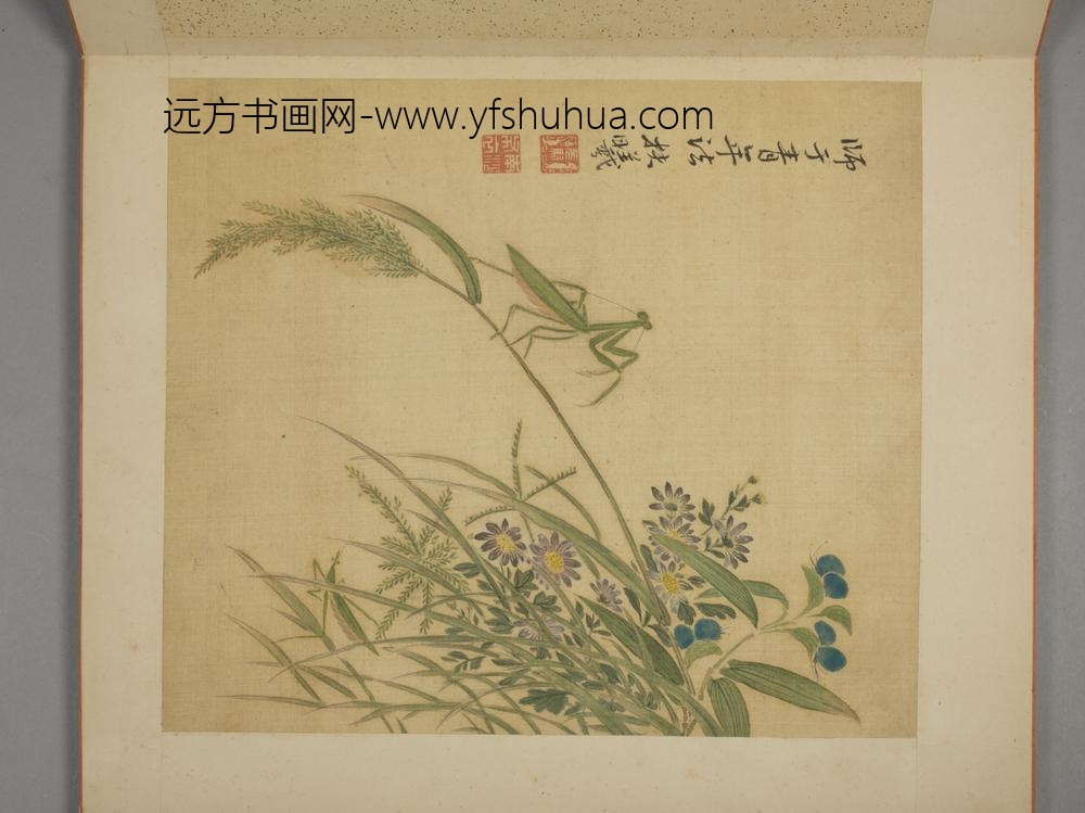 清-马元驭花卉册-