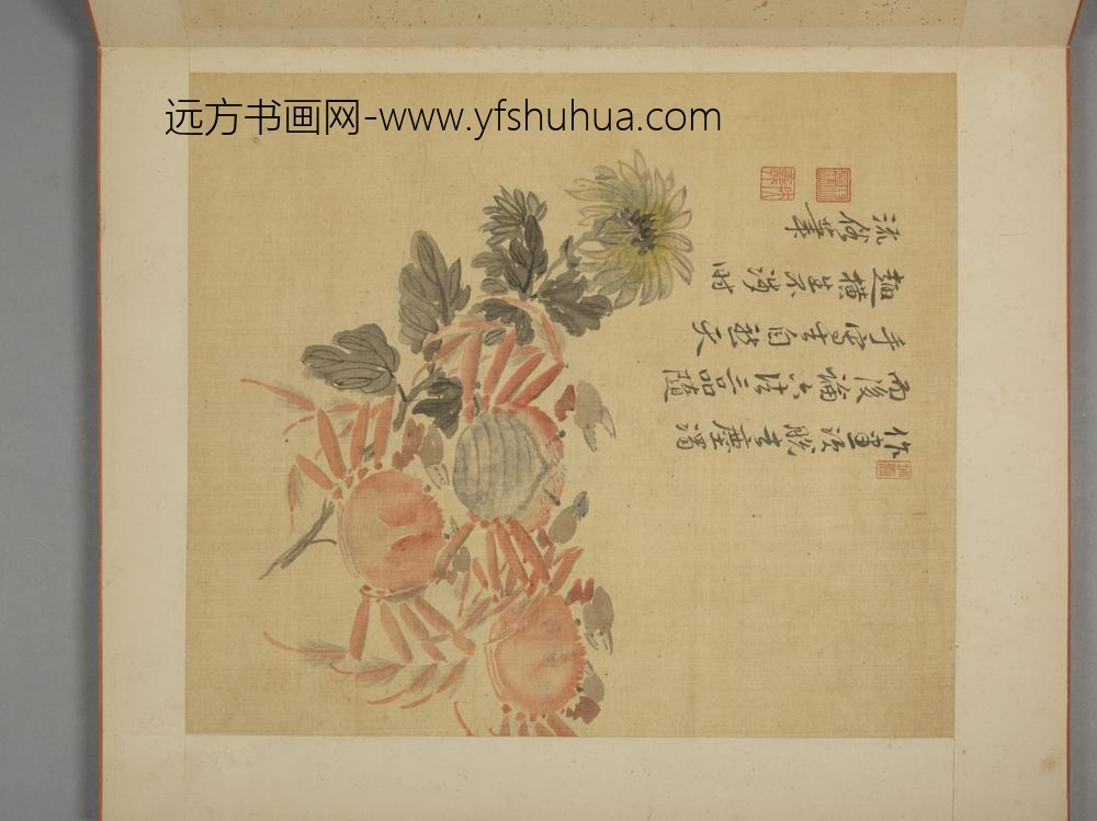 清-马元驭花卉册-
