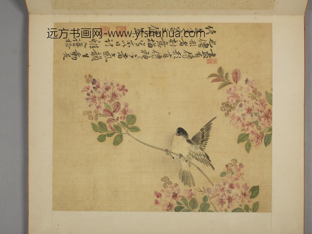清-马元驭花卉册-