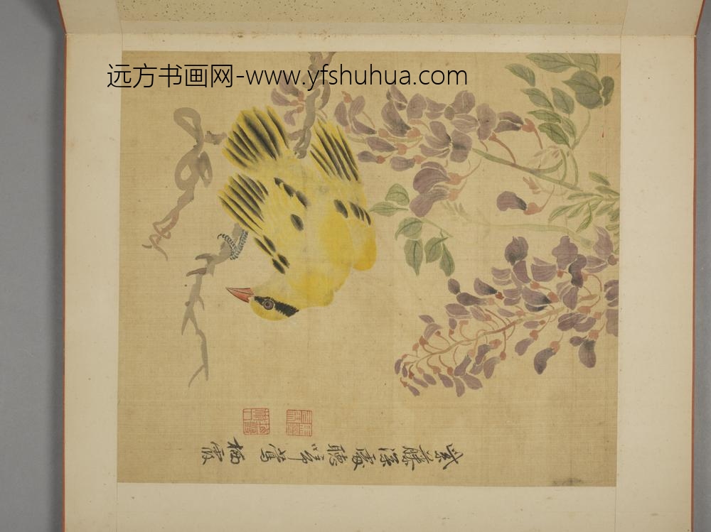 清-马元驭花卉册-