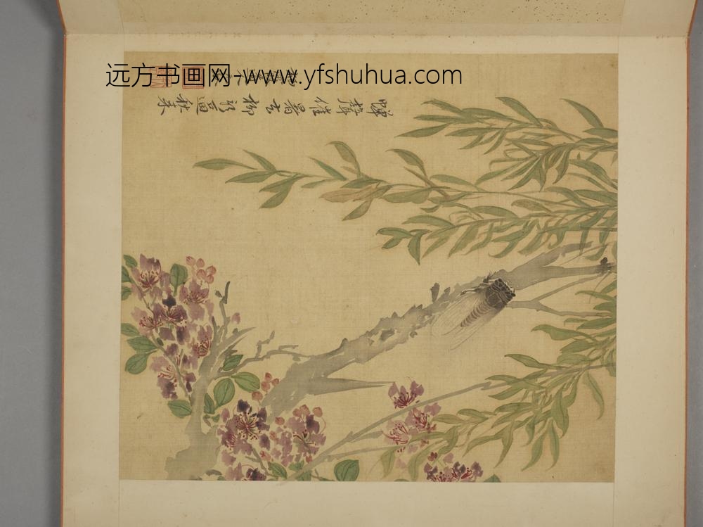清-马元驭花卉册-