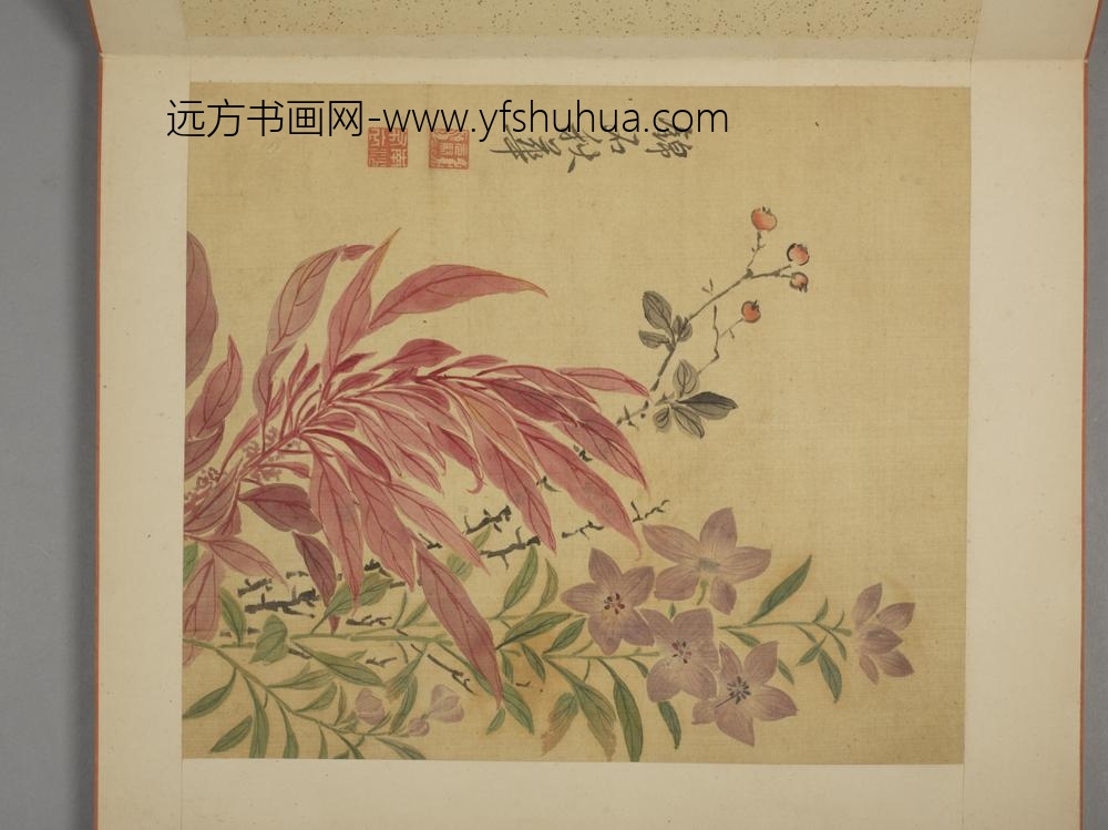 清-马元驭花卉册-
