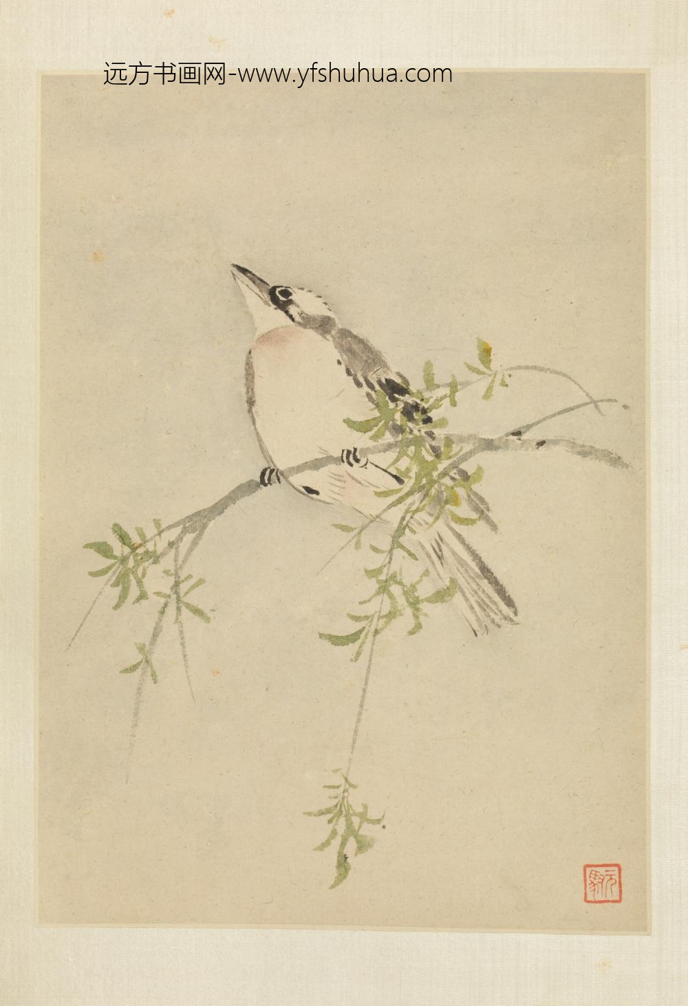 清-马元驭花鸟册-